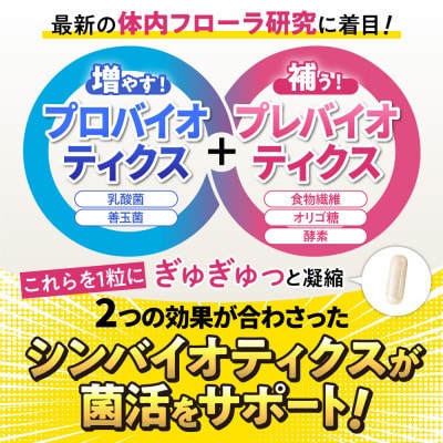 【毎月定期便】乳酸菌サプリナノ型乳酸菌10兆個&ビフィズス菌配合菌活すっきり180日180粒全4回