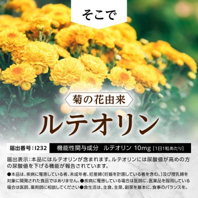 【毎月定期便】ルテオリンサプリメント キニシナイトGOLD　尿酸値ケア 90日(90粒)全4回