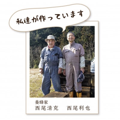 北海道産夏のはちみつ計800g