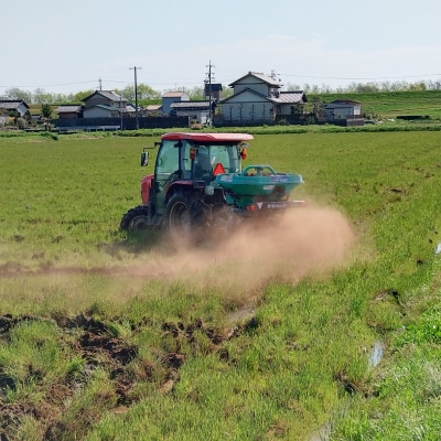令和7年岐阜県養老産ケリ米ハツシモ　白米5kg
