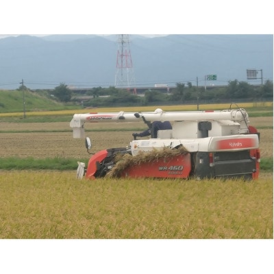 令和8年岐阜県養老産ケリ米ハツシモ　白米5kg