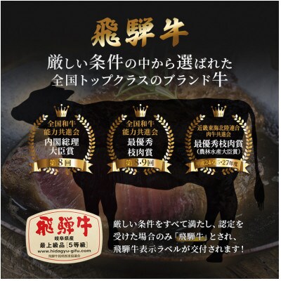 飛騨牛切り落とし計2kg