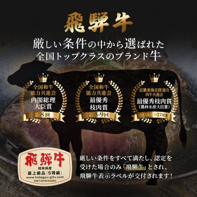 飛騨牛切り落とし計3kg