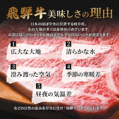 飛騨牛切り落とし計3kg