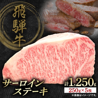 飛騨牛サーロインステーキ　250g×5枚　計1250g