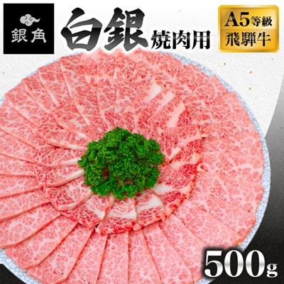 【飛騨牛】白銀焼肉用500g