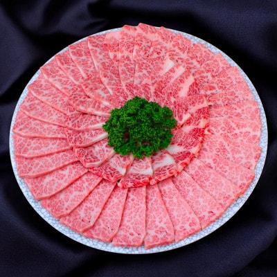 【飛騨牛】白銀焼肉用500g