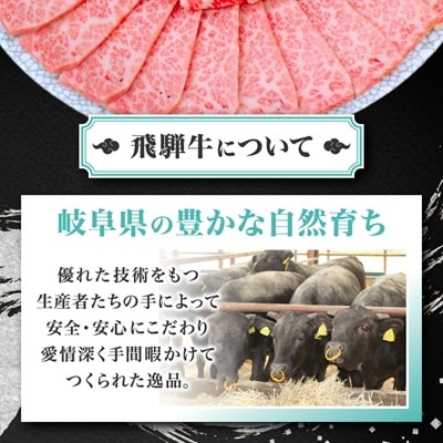【飛騨牛】白銀焼肉用1kg