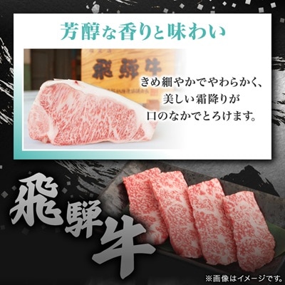 【飛騨牛】白銀焼肉用1kg