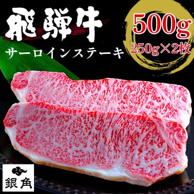 【毎月定期便】厚切り【飛騨牛】サーロインステーキ500g(250g×2枚)全3回
