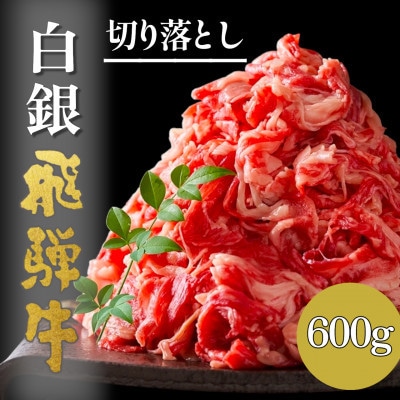 【毎月定期便】A5等級【白銀】飛騨牛切り落し600g全3回
