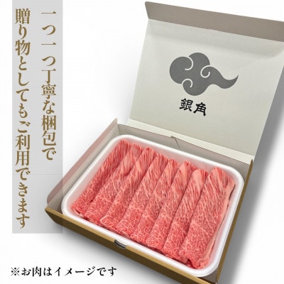 【毎月定期便】A5等級【白銀】飛騨牛切り落し600g全3回