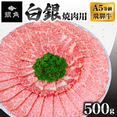 【毎月定期便】【飛騨牛】白銀焼肉用500g全3回