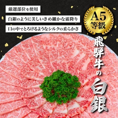 【毎月定期便】【飛騨牛】白銀焼肉用500g全3回