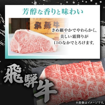 【毎月定期便】【飛騨牛】白銀焼肉用500g全3回