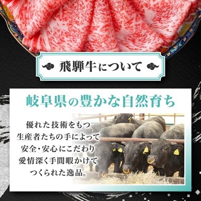 【毎月定期便】飛騨牛【白銀ロース】すき焼き・しゃぶしゃぶ用500g全3回