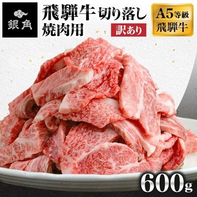 【毎月定期便】【訳あり】飛騨牛切り落し焼肉用600g全3回