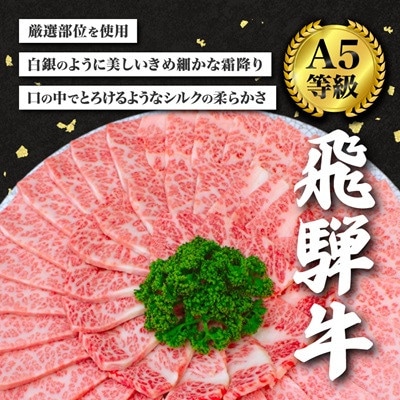 【毎月定期便】【訳あり】飛騨牛切り落し焼肉用600g全3回
