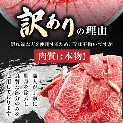 【毎月定期便】【訳あり】飛騨牛切り落し焼肉用600g全3回