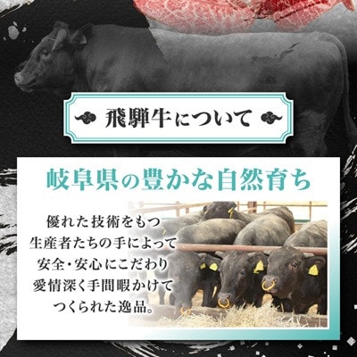【毎月定期便】【訳あり】飛騨牛切り落し焼肉用600g全3回