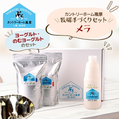 【カントリーホーム風景】 牧場手づくりセット「メラ」北海道 十勝 ヨーグルト【0223】