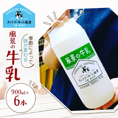 風景の牛乳 900ml×6本