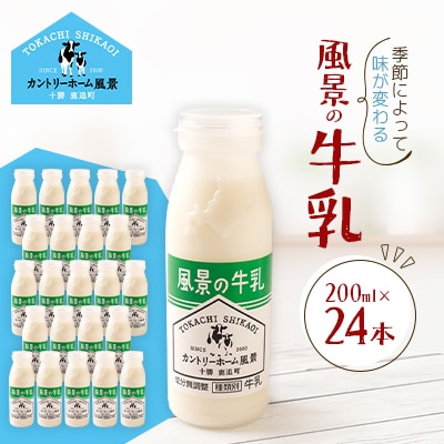 風景の牛乳 200ml×24本