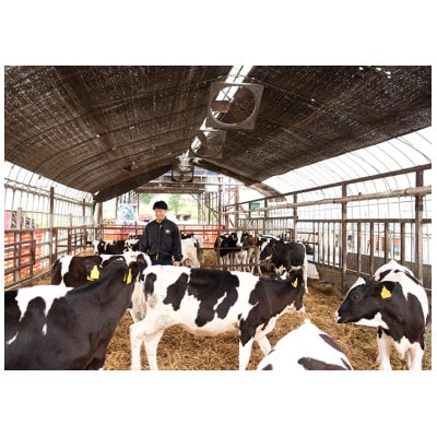 風景の牛乳 200ml×24本