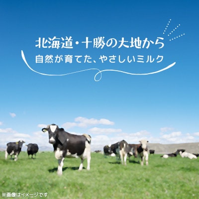 【毎月定期便】風景の牛乳 500ml×4本全6回