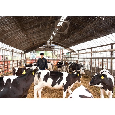 【毎月定期便】風景の牛乳 200ml　牧場てづくりのむヨーグルト 200g　各12本全3回