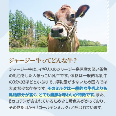 【十勝高田牧場】ジャージー飲むヨーグルト 150g×12本セット