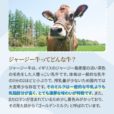 【十勝高田牧場】十勝搾りたてジャージー牛乳 200ml×12本セット