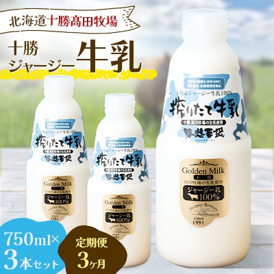 【毎月定期便】十勝ジャージー牛乳 750ml×3本セット全3回