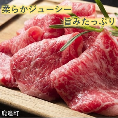 鹿追牛ロース 焼肉用 450g (鹿追牛Bセット) 225g×2 北海道十勝鹿追産【0112】