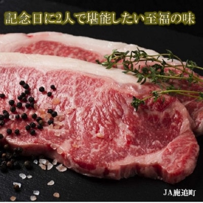 鹿追牛ロース ステーキ 450g (鹿追牛Dセット 225g×2) 北海道十勝鹿追産【0118】