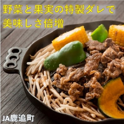 生姜焼き・豚ジンギスカン(鹿追豚Eセット) 【011B】