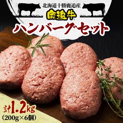 鹿追牛 ハンバーグセット 200g×6個 計1.2kg 牛肉100% 北海道十勝鹿追産【0117】