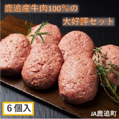 鹿追牛 ハンバーグセット 200g×6個 計1.2kg 牛肉100% 北海道十勝鹿追産【0117】