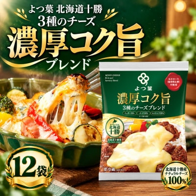 よつ葉北海道十勝 3種のチーズ《濃厚コク旨ブレンド》12袋 SKA066