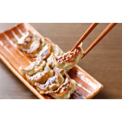 餃子屋北の匠　手作り餃子　3袋(45個)