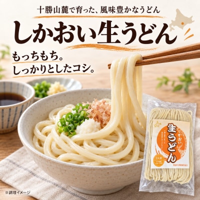 しかおい生うどん 20食セット(2人前×10袋)