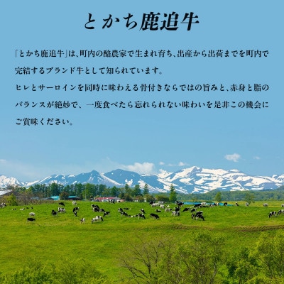 鹿追牛 骨付きサーロイン(ヒレ付き)1頭分 Tボーン Lボーン【複数個口で配送】