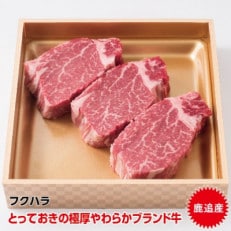 十勝鹿追産牛肉「とかち晴れ」ヒレステーキ 400g【1550】