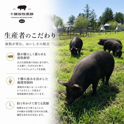 十勝放牧黒豚 極上バルセット	 7種入り(ソーセージ、ハンバーグ、ベーコン、ハム、ラクレットチーズ)