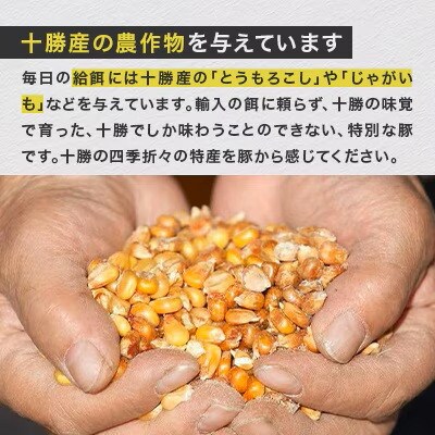 【毎月定期便】自然放牧黒豚 無添加ハンバーグセット計1.5kg(150g×10) 十勝鹿追産全3回