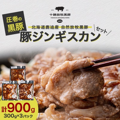 【毎月定期便】北海道鹿追産 自然放牧 圧巻の黒豚 豚ジンギスカンのセット 900g全2回