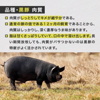 【毎月定期便】北海道鹿追産 自然放牧 圧巻の黒豚 豚ジンギスカンのセット 900g全2回