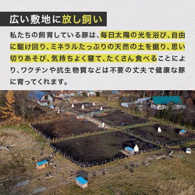 【毎月定期便】北海道鹿追産 自然放牧 圧巻の黒豚 豚ジンギスカンのセット 900g全4回