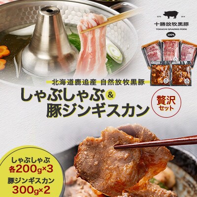 【毎月定期便】鹿追産 自然放牧黒豚 しゃぶしゃぶ各200g×3 &豚ジンギスカン300g×2全4回