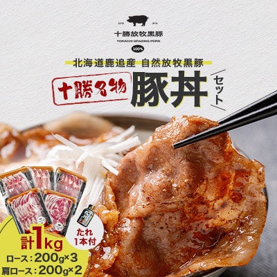 【毎月定期便】自然放牧黒豚 豚丼セット(ロース200g×3・肩ロース200g×2・たれ1本)全10回